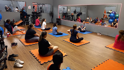 Academia 3.0 FIT - Bosque