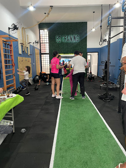 Academia E3 Training