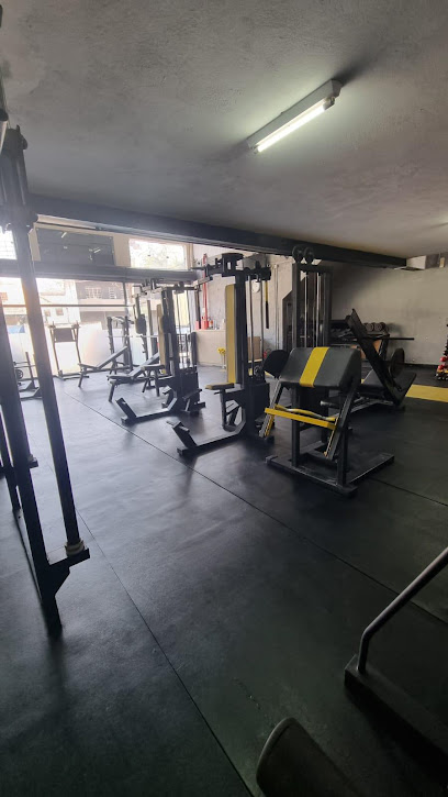 Top Fitness