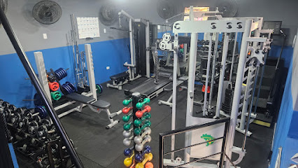 Academia Impact Unger Team