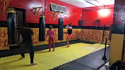 Vila Fitness Academia