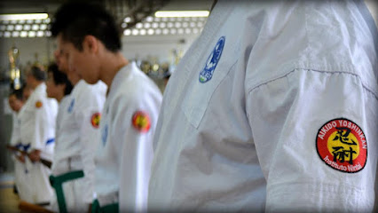 Instituto Nintai - Aikido Yoshinkan