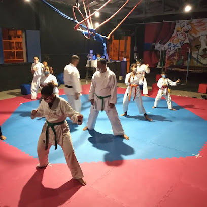 Dojang União das Artes