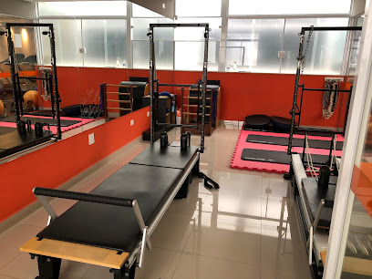 Go30 Personal Experience