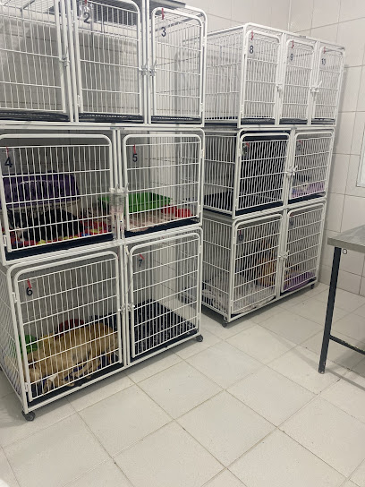 Cão & Cia
