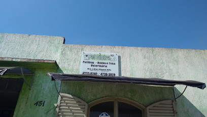 Pet Cintra